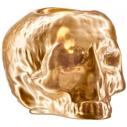 Still Life Skull Lanterne, Guld