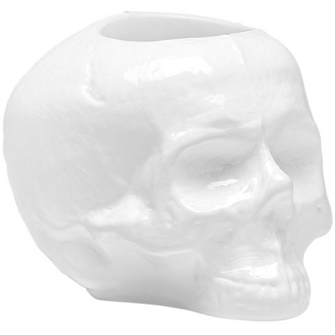 Still Life Skull Lanterne, Hvid